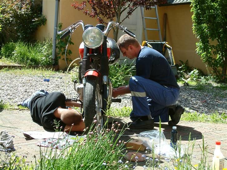 Triumph T100ss billede 15