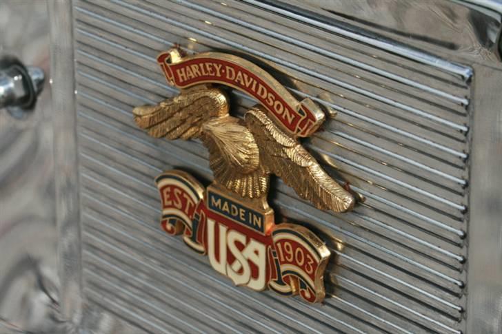 Harley Davidson ElectraGlide - TIL SALG - Vera og jeg er - som antydet - virkeligt utroligt glade for ørn. billede 9