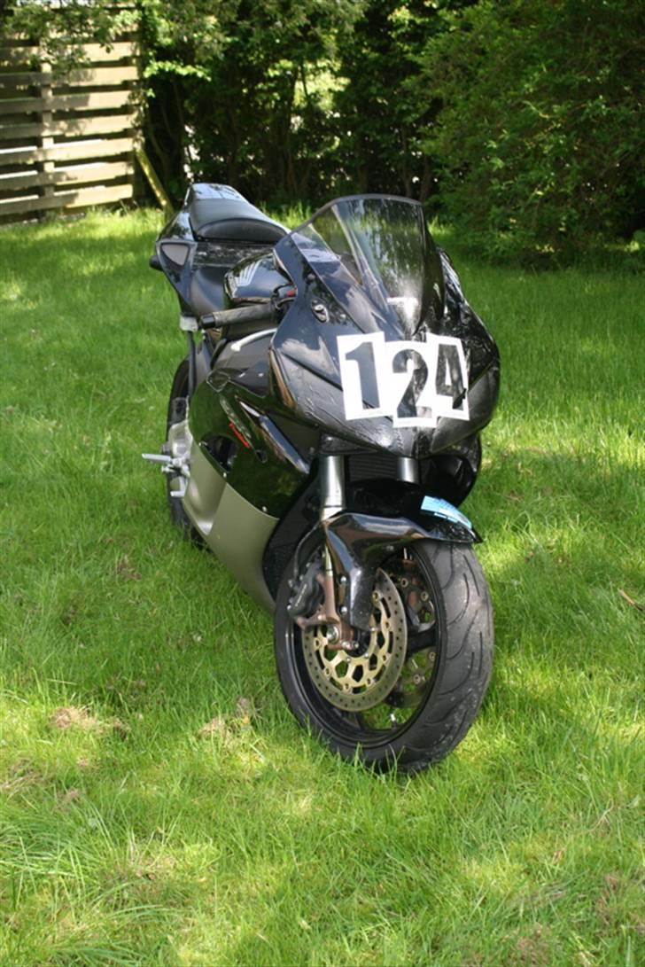 Harley Davidson ElectraGlide - TIL SALG - Og såd´n ser Vera ud når hun er klædt om til baneræs. Alligevel ret utroligt hvad et stramtsiddende weekendcorsage kan gøre, hva´ba´...?! billede 19