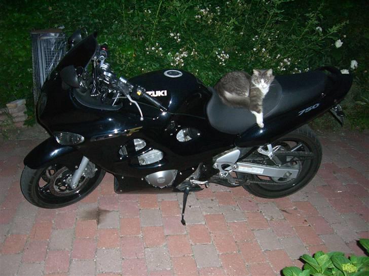 Suzuki gsx 750 f billede 5
