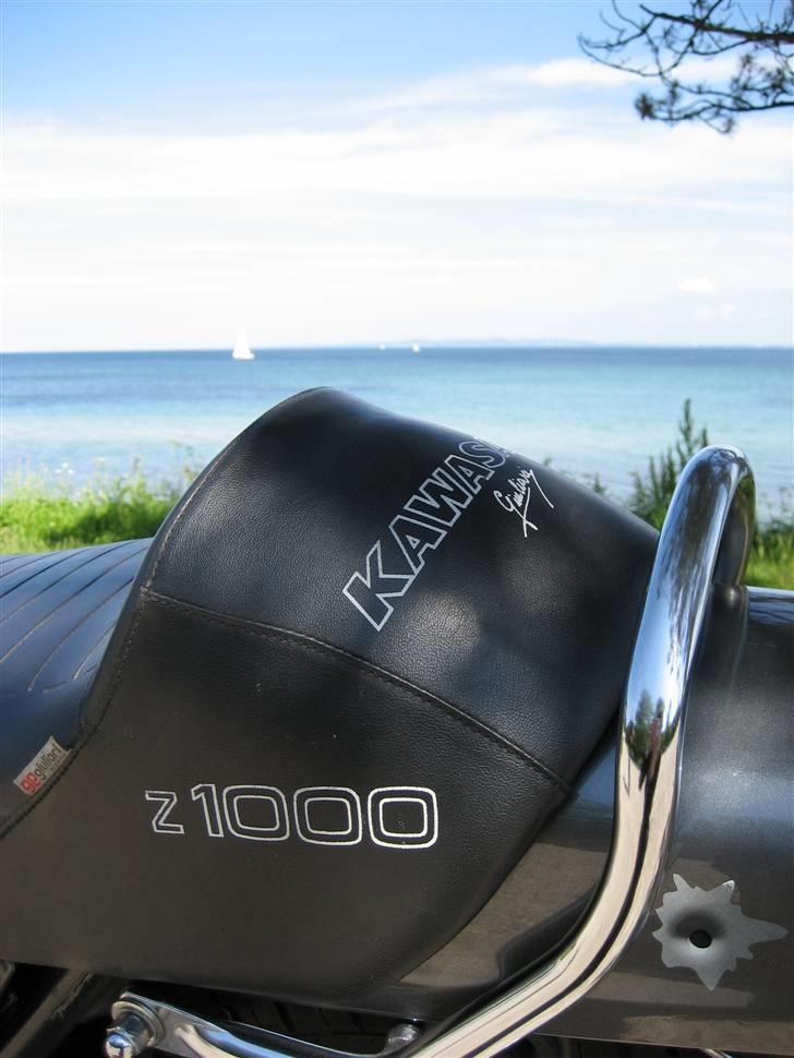 Kawasaki Z1000  billede 10