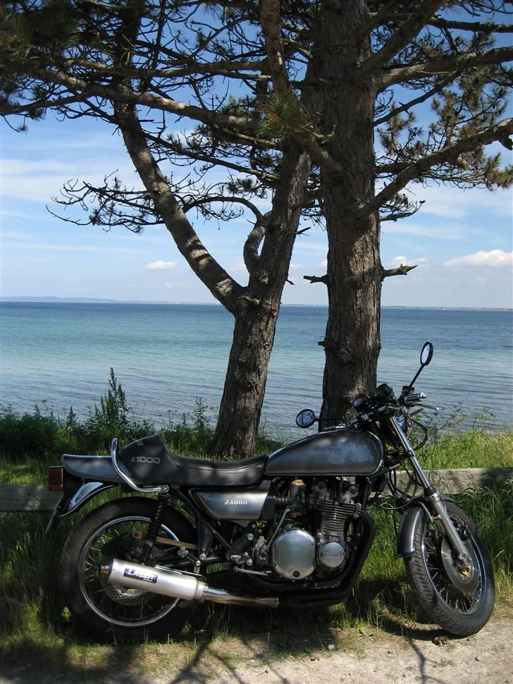 Kawasaki Z1000  billede 14