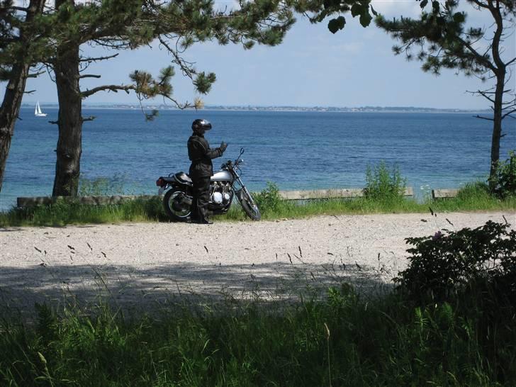 Kawasaki Z1000  - Chauffør med startvanskeligheder (møg-handsker:)  (Nu med nye handsker!:) billede 16