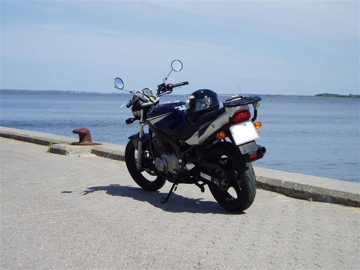 Suzuki gs 500 E billede 2