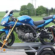 Suzuki SV 650 S K6 - SOLGT