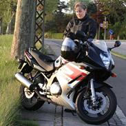 Suzuki GS 500 F - SOLGT!