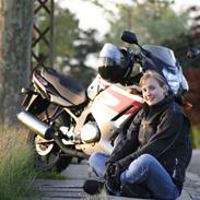 Suzuki GS 500 F - SOLGT!