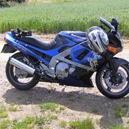 Kawasaki zzr 600