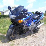 Kawasaki zzr 600