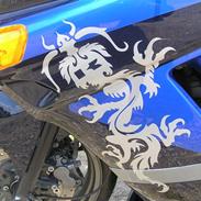 Kawasaki zzr 600