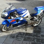 Suzuki tl 1000 r