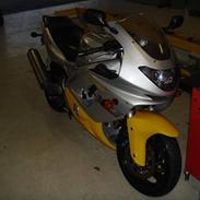 Yamaha YZF 600 Thundercat