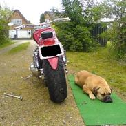 Harley Davidson shovelhead