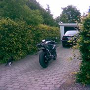 Suzuki gsx-r