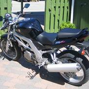 Suzuki sv1000