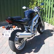 Suzuki sv1000