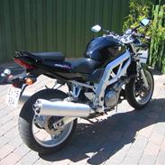 Suzuki sv1000