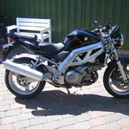 Suzuki sv1000