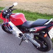 Honda CBR 600