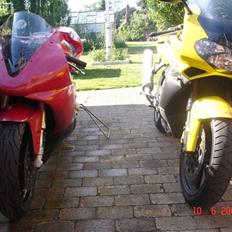 Yamaha YZF-R1 (SOLGT)