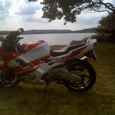 Honda CBR 600 F2