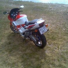 Honda CBR 600 F2