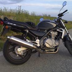 Kawasaki ER-5 **totalskadet**