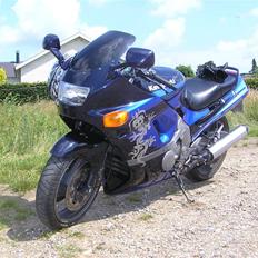Kawasaki zzr 600