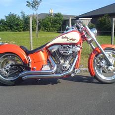 Harley Davidson soft tail