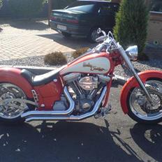Harley Davidson soft tail