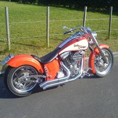 Harley Davidson soft tail