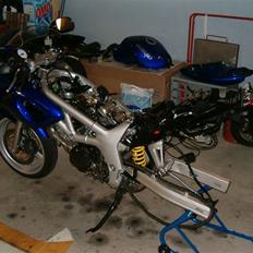 Suzuki SV650S "SOLGT"