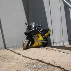 Honda CBR 600 F4 **SOLGT**