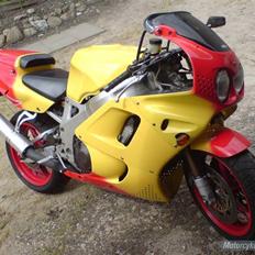 Honda Papegøjen +auferstanden+