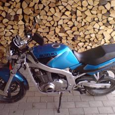 Suzuki gs 500 e
