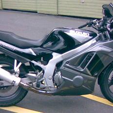 Suzuki GS 500 E