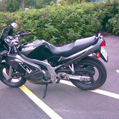 Suzuki GS 500 E