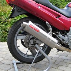 Kawasaki ZZR 250