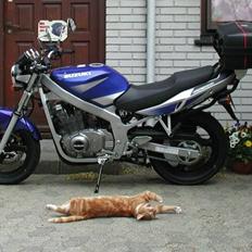 Suzuki GS 500E K3