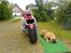 Harley Davidson shovelhead