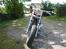 Harley Davidson shovelhead