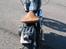 Harley Davidson Earley Shovelhead