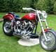 Harley Davidson shovelhead