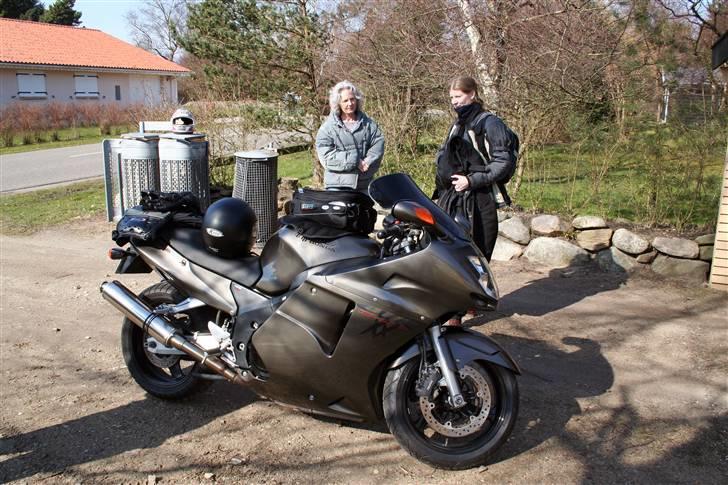 Honda CBR1100XX Super Blackbird - Damerne beundrer dyret billede 10