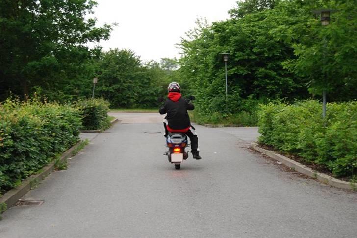 Piaggio Skipper - Totalskadet billede 5