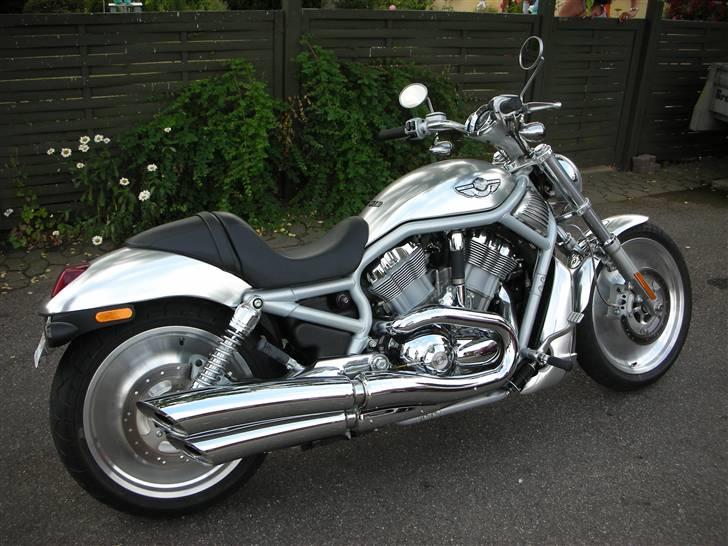 Harley Davidson Sport Touring VRSCA billede 6