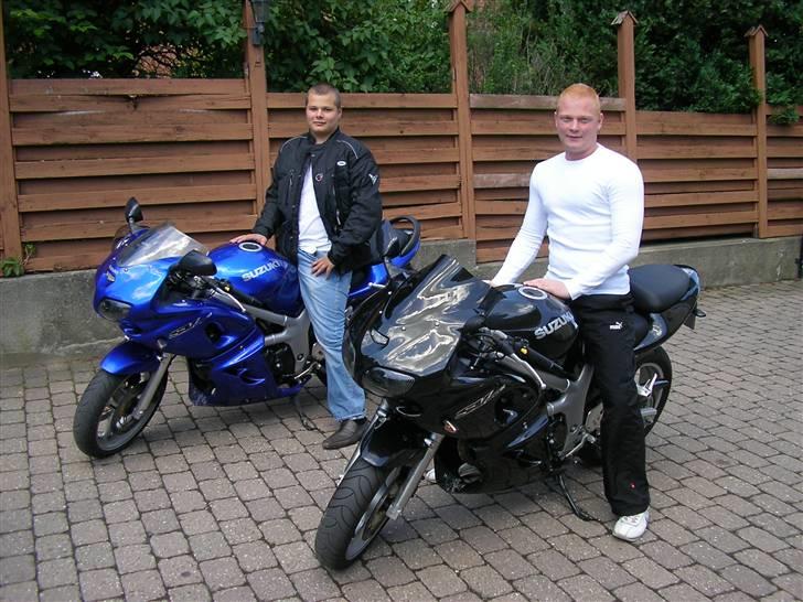 Suzuki Sv 650 billede 5