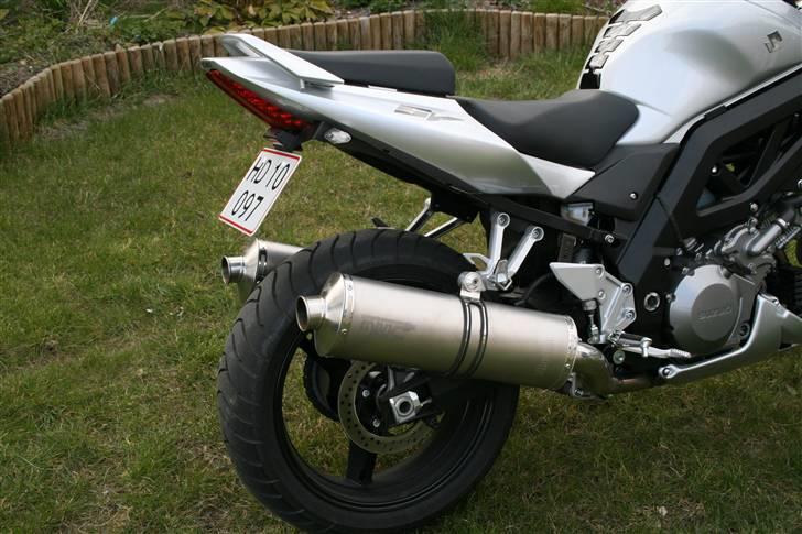 Suzuki SV 1000 billede 8