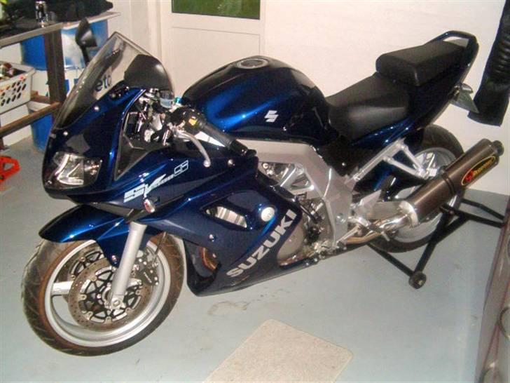 Suzuki sv1000 billede 1