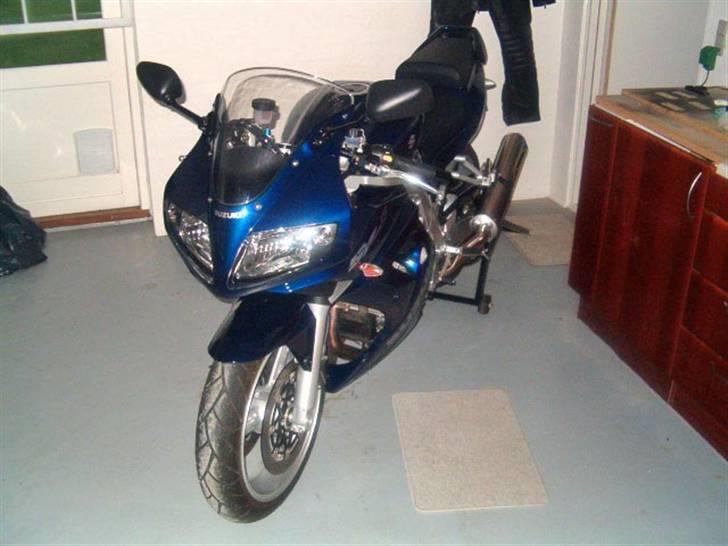 Suzuki sv1000 billede 2
